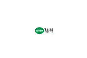 ERP實(shí)施案例 (11)